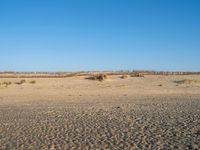 Panoramic View of Singing Sand Dune in Holland, Netherlands