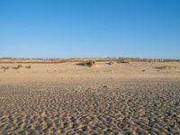 Panoramic View of Singing Sand Dune in Holland, Netherlands