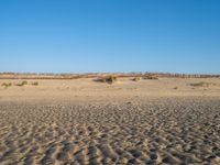 Panoramic View of Singing Sand Dune in Holland, Netherlands