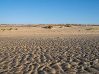 Panoramic View of Singing Sand Dune in Holland, Netherlands