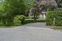 Panoramic View of Toronto Suburban Area