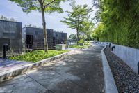 the walkway around a building in an urban area, is lined with plants and trees