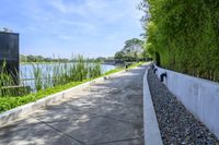 the walkway around a building in an urban area, is lined with plants and trees