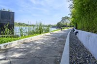 the walkway around a building in an urban area, is lined with plants and trees