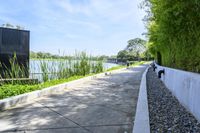 the walkway around a building in an urban area, is lined with plants and trees