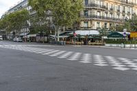 there is a street with checkered traffic at this time of day, and trees all over the street