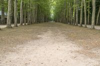 Paris on a Gloomy Day: Suburban Park