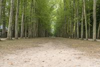 Paris on a Gloomy Day: Suburban Park