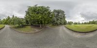 a big park with a road that has a large tree in it and green grass on the side