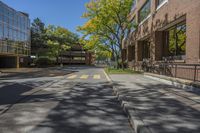 a paved street with a walkway between two buildings and trees and bushes on the side walk