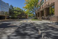 a paved street with a walkway between two buildings and trees and bushes on the side walk