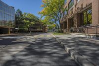 a paved street with a walkway between two buildings and trees and bushes on the side walk