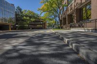 a paved street with a walkway between two buildings and trees and bushes on the side walk