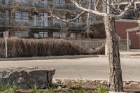 the parking meter sits on the side of the street in front of a building and bare trees