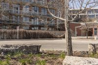 the parking meter sits on the side of the street in front of a building and bare trees