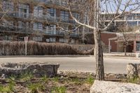 the parking meter sits on the side of the street in front of a building and bare trees