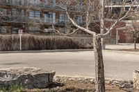 the parking meter sits on the side of the street in front of a building and bare trees