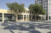 a street scene with focus on the tall buildings and trees in the city center area