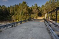 a path bridge over a river next to trees on the shore line of a stream