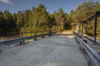 a path bridge over a river next to trees on the shore line of a stream