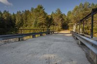 a path bridge over a river next to trees on the shore line of a stream