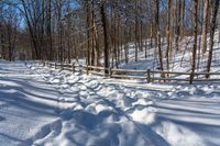 a path in the snow leading through a forest with trees, on a sunny day