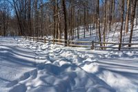 a path in the snow leading through a forest with trees, on a sunny day