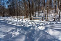 a path in the snow leading through a forest with trees, on a sunny day