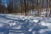 a path in the snow leading through a forest with trees, on a sunny day