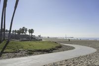 pathway winding into an empty grassy area near the ocean and palm trees on the shore of beach