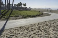 pathway winding into an empty grassy area near the ocean and palm trees on the shore of beach