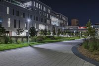 a path in front of a building with lights on and grass around the pathway and grass beds