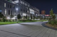 a path in front of a building with lights on and grass around the pathway and grass beds