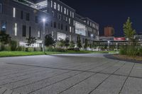 a path in front of a building with lights on and grass around the pathway and grass beds