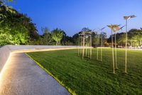 a walkway with several different lights on it in the yard on top of grass in front of trees and other plants