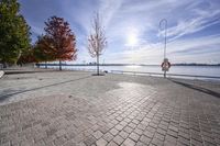 a pathway near the water with colorful trees on each side and blue sky over the river