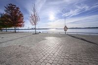 a pathway near the water with colorful trees on each side and blue sky over the river