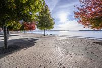 a pathway near the water with colorful trees on each side and blue sky over the river