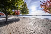 a pathway near the water with colorful trees on each side and blue sky over the river