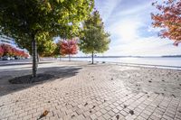 a pathway near the water with colorful trees on each side and blue sky over the river