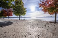 a pathway near the water with colorful trees on each side and blue sky over the river