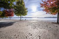 a pathway near the water with colorful trees on each side and blue sky over the river