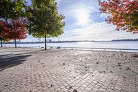 a pathway near the water with colorful trees on each side and blue sky over the river