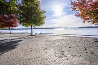 a pathway near the water with colorful trees on each side and blue sky over the river