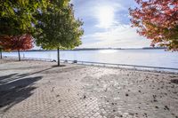 a pathway near the water with colorful trees on each side and blue sky over the river