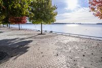 a pathway near the water with colorful trees on each side and blue sky over the river