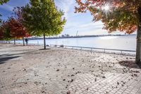 a pathway near the water with colorful trees on each side and blue sky over the river