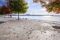 a pathway near the water with colorful trees on each side and blue sky over the river