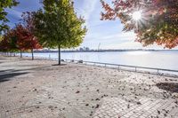 a pathway near the water with colorful trees on each side and blue sky over the river