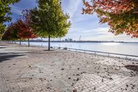 a pathway near the water with colorful trees on each side and blue sky over the river